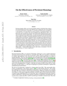 On the effectiveness of persistent homology