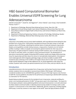 H&E-based Computational Biomarker Enables Universal EGFR Screening for
  Lung Adenocarcinoma