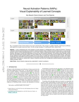 Neural Activation Patterns (NAPs): Visual Explainability of Learned
  Concepts