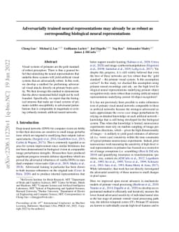 Adversarially trained neural representations may already be as robust as
  corresponding biological neural representations