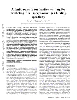 Attention-aware contrastive learning for predicting T cell
  receptor-antigen binding specificity