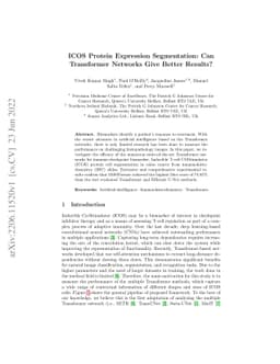ICOS Protein Expression Segmentation: Can Transformer Networks Give
  Better Results?