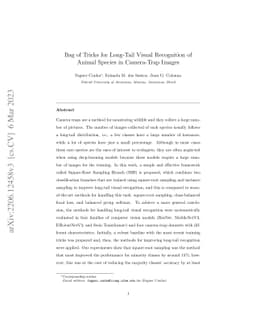 Bag of Tricks for Long-Tail Visual Recognition of Animal Species in
  Camera-Trap Images