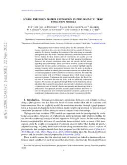 Sparse precision matrix estimation in phenotypic trait evolution models