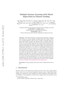 Multiple Instance Learning with Mixed Supervision in Gleason Grading