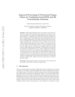 Improved Processing of Ultrasound Tongue Videos by Combining ConvLSTM
  and 3D Convolutional Networks