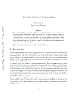 Nonwatertight Mesh Reconstruction