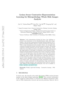 Lesion-Aware Contrastive Representation Learning for Histopathology
  Whole Slide Images Analysis