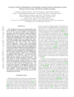 Accurate and fast identification of minimally prepared bacteria
  phenotypes using Raman spectroscopy assisted by machine learning