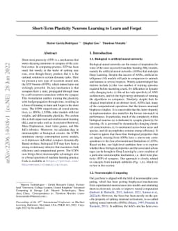 Short-Term Plasticity Neurons Learning to Learn and Forget
