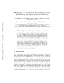 Identifying and Combating Bias in Segmentation Networks by leveraging
  multiple resolutions