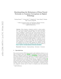 Benchmarking the Robustness of Deep Neural Networks to Common
  Corruptions in Digital Pathology