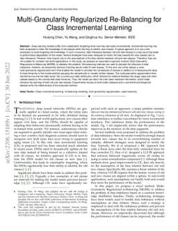 Multi-Granularity Regularized Re-Balancing for Class Incremental
  Learning