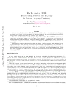 The Topological BERT: Transforming Attention into Topology for Natural
  Language Processing