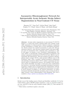 Asymmetry Disentanglement Network for Interpretable Acute Ischemic
  Stroke Infarct Segmentation in Non-Contrast CT Scans