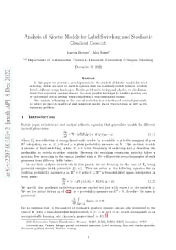 Analysis of Kinetic Models for Label Switching and Stochastic Gradient
  Descent