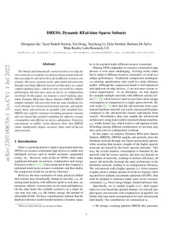 DRESS: Dynamic REal-time Sparse Subnets