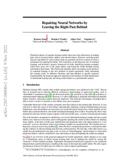 Repairing Neural Networks by Leaving the Right Past Behind