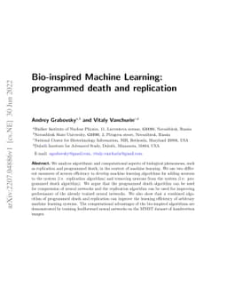 Bio-inspired Machine Learning: programmed death and replication
