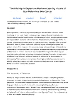 Towards Highly Expressive Machine Learning Models of Non-Melanoma Skin
  Cancer