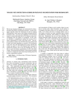 YOLO2U-Net: Detection-Guided 3D Instance Segmentation for Microscopy