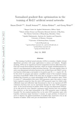 Normalized gradient flow optimization in the training of ReLU artificial
  neural networks