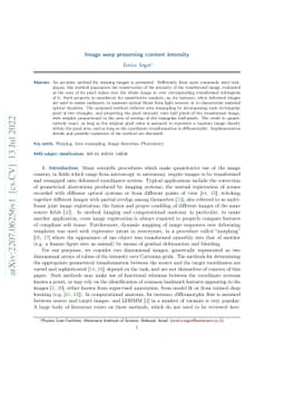 Image warp preserving content intensity
