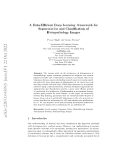 A Data-Efficient Deep Learning Framework for Segmentation and
  Classification of Histopathology Images
