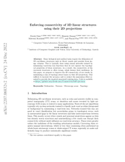 Enforcing connectivity of 3D linear structures using their 2D
  projections