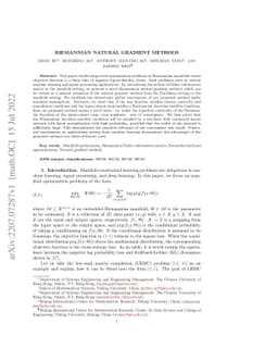 Riemannian Natural Gradient Methods
