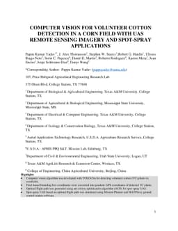Computer Vision for Volunteer Cotton Detection in a Corn Field with UAS
  Remote Sensing Imagery and Spot Spray Applications