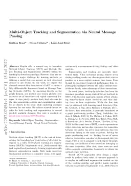 Multi-Object Tracking and Segmentation via Neural Message Passing