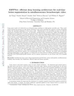ESFPNet: efficient deep learning architecture for real-time lesion
  segmentation in autofluorescence bronchoscopic video