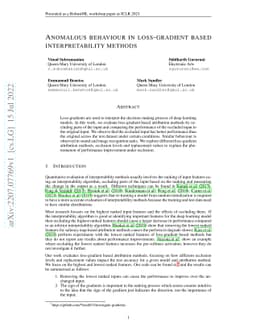 Anomalous behaviour in loss-gradient based interpretability methods