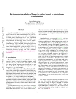 Performance degradation of ImageNet trained models by simple image
  transformations
