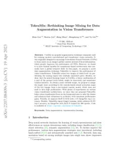 TokenMix: Rethinking Image Mixing for Data Augmentation in Vision
  Transformers