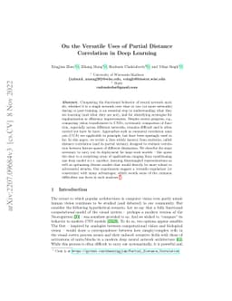 On the Versatile Uses of Partial Distance Correlation in Deep Learning