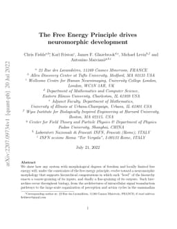 The Free Energy Principle drives neuromorphic development