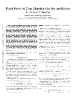 Fixed Points of Cone Mapping with the Application to Neural Networks