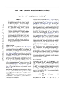 What Do We Maximize in Self-Supervised Learning?