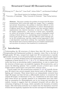 Structural Causal 3D Reconstruction