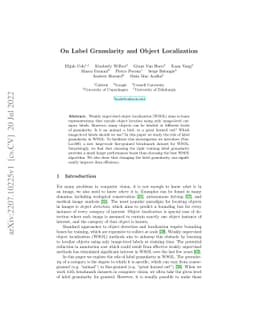 On Label Granularity and Object Localization