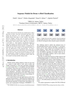 Sequence Models for Drone vs Bird Classification