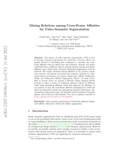 Mining Relations among Cross-Frame Affinities for Video Semantic
  Segmentation