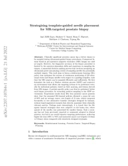Strategising template-guided needle placement for MR-targeted prostate
  biopsy
