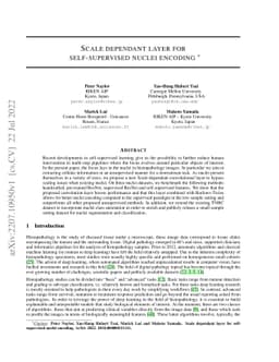 Scale dependant layer for self-supervised nuclei encoding