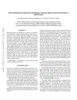 Fast strategies for multi-temporal speckle reduction of Sentinel-1 GRD
  images
