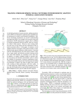 Training Stronger Spiking Neural Networks with Biomimetic Adaptive
  Internal Association Neurons