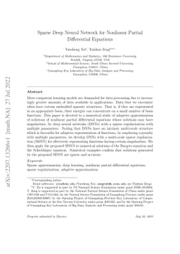 Sparse Deep Neural Network for Nonlinear Partial Differential Equations