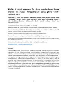 SYNTA: A novel approach for deep learning-based image analysis in muscle
  histopathology using photo-realistic synthetic data